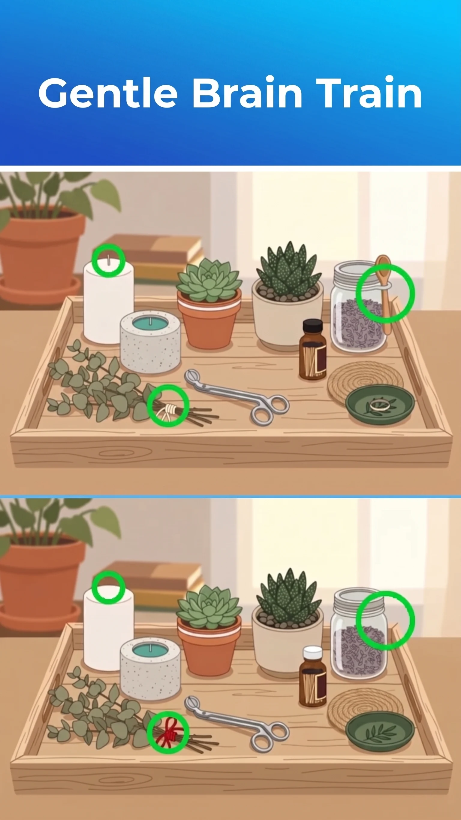 DiffMaster : Spot Difference screenshot